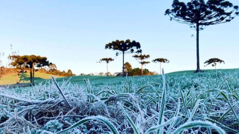IDR-Paraná e Simepar iniciam 31ª edição do Alerta Geada nesta segunda-feira